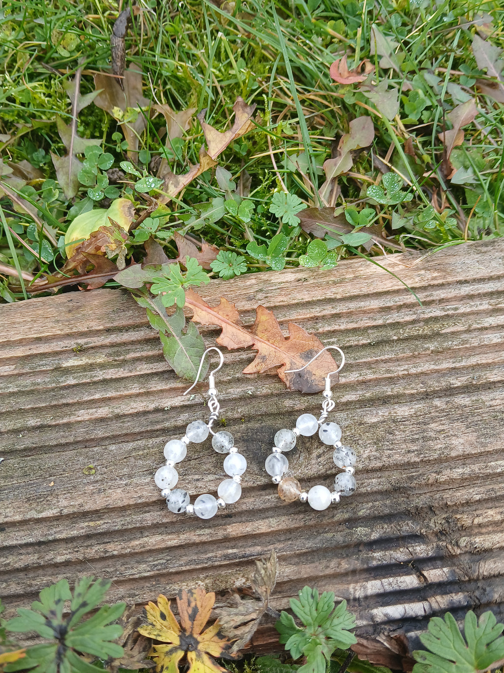  Pierre Pitaya - Forme Ronde - BySHELLDA